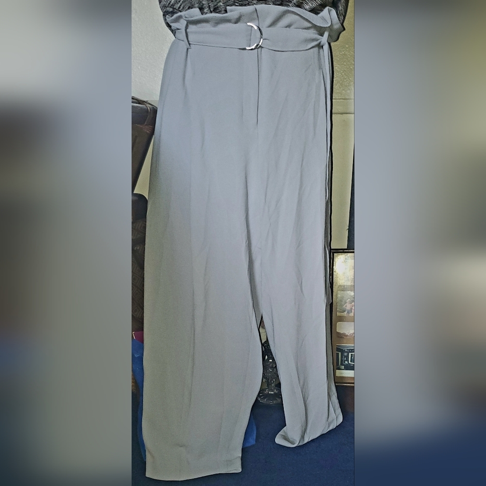 Bar III Suit Seperates. Wide-Leg Gray Trousers with Belt. 24W - Picture 3 of 3